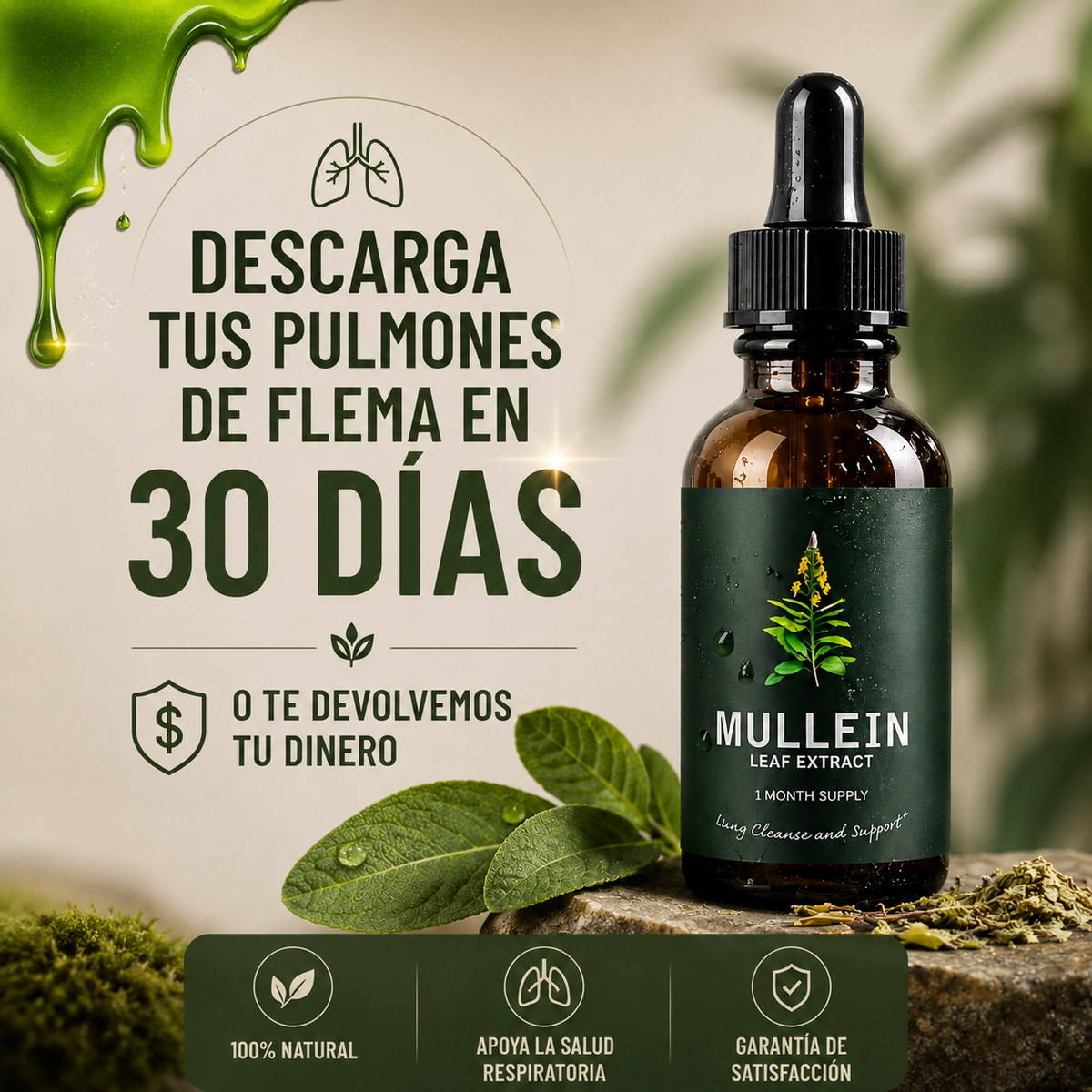 Extracto Puro de Gordolobo