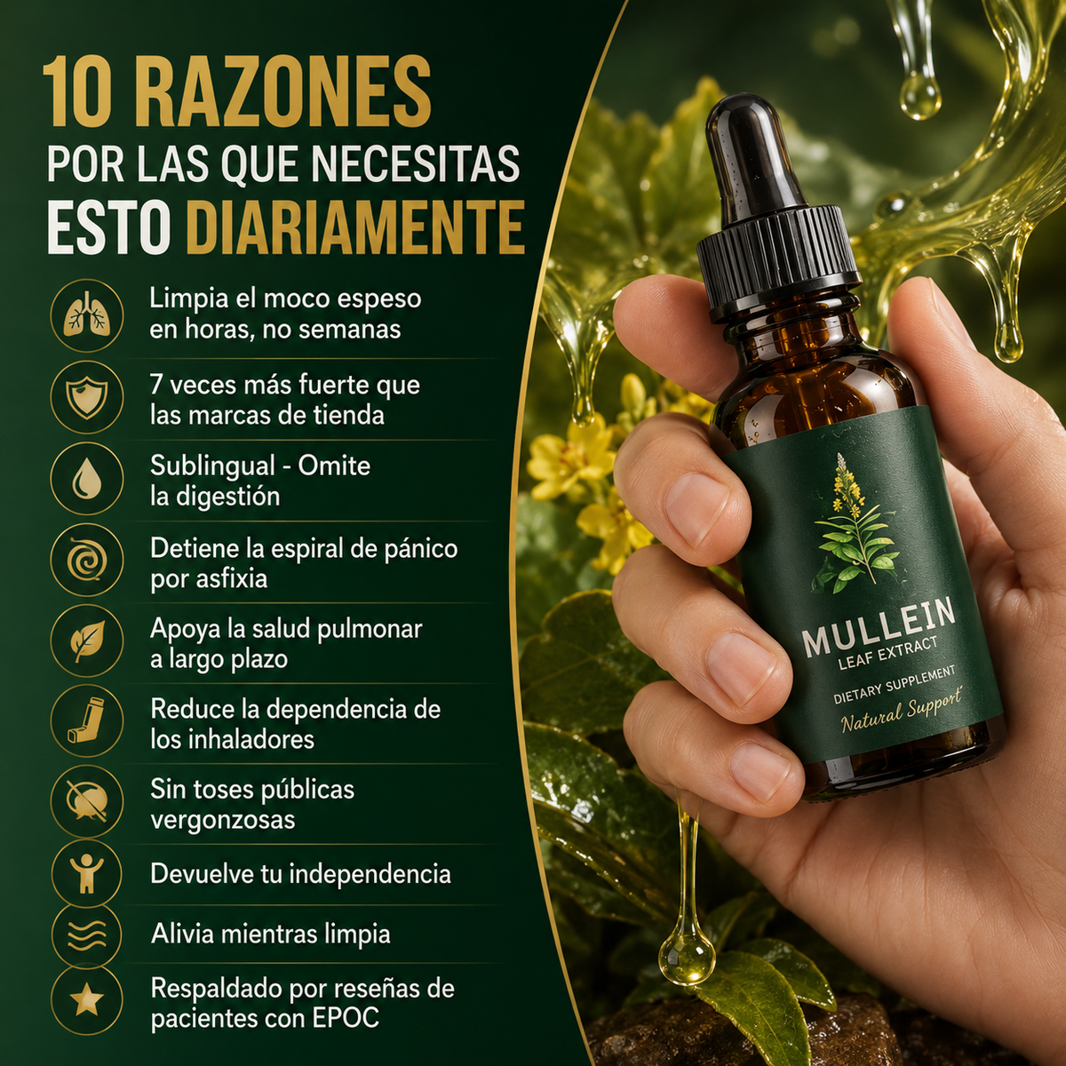 Extracto Puro de Gordolobo